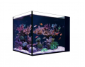 Red Sea Desktop Peninsula Aquarium