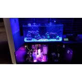 Kessil H380 Spectral Halo II - lampa crestere macro alga