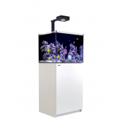 Red Sea Reefer 200 Deluxe