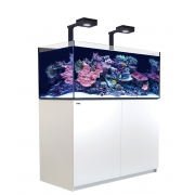 Red Sea Reefer Deluxe