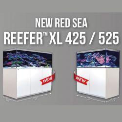 Red Sea Reefer XL 525