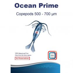 Copepods 500-700 microns Ocean Prime