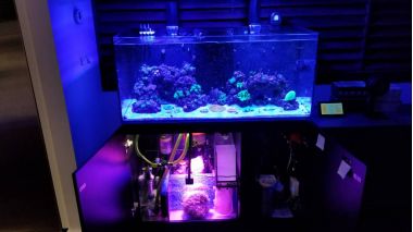 Kessil H380 Spectral Halo II - lampa crestere macro alga