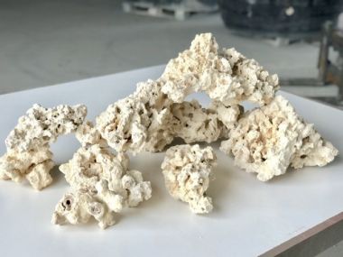Piatra Uscata / Reef Stone / pret pe kg