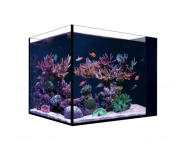 Red Sea Desktop Peninsula Aquarium