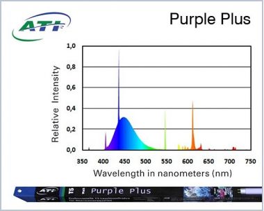 Neon/Tub acvariu ATI Purple Plus 80 Watt Aquaristik T5