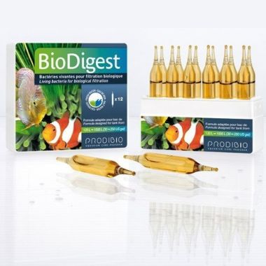 Prodibio BIO DIGEST 12 fiole