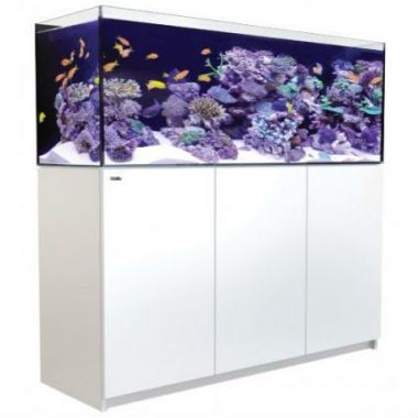 Aquarium Red Sea Reefer 450 WHITE