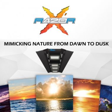 Maxspect RSX 150w