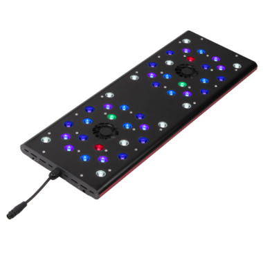 Evergrow AquaOcean IT 5060