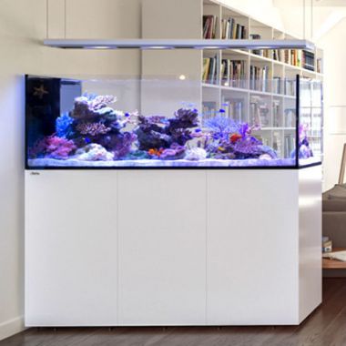 Red Sea Peninsula P650 Deluxe 1.60 m (incl. 4 X ReefLED 90 & 1x Pendant)