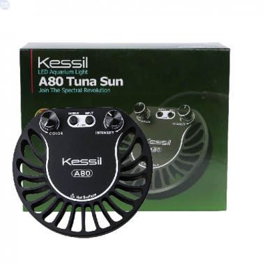 Lampa Kessil Led A80 Tuna SUN
