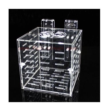 FISH ROOM ISOLATION FEEDING QUERY HATCHERY TANK