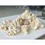 Piatra Uscata / Reef Stone / pret pe kg