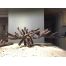 piatra acvariu caribsea-liferock-belize-branch-