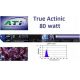 Neon/Tub ATI Actinic 80 Watt T5 Aquaristik