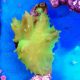 Cabbage Leather Coral (Sinularia brassica)