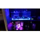Kessil H380 Spectral Halo II - lampa crestere macro alga