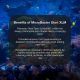 MicroBacter Start XLM 500ml - Brightwell Aquatics